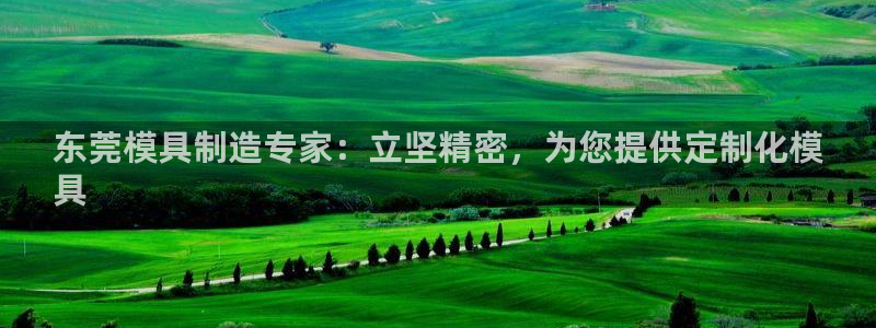 彩神ix官网：东莞模具制造专家：立坚精密，为您提供定制化模
具
