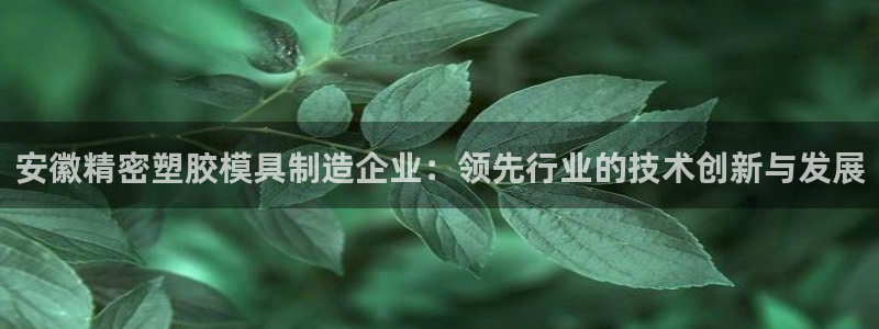 彩神 好 平台：安徽精密塑胶模具制造企业：领先行业的技术创新与发展