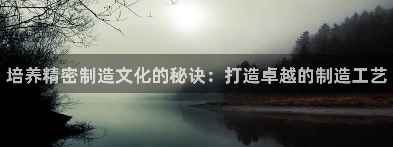 彩神Vll：培养精密制造文化的秘诀：打造卓越的制造工艺