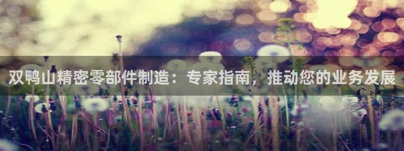 彩神旗下有哪些平台可以玩：双鸭山精密零部件制造：专家指南，推动您的业务发展