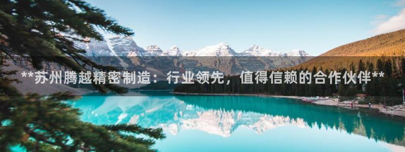 彩神官方网站登录是多少：**苏州腾越精密制造：行业领先，值得信赖的合作伙伴**