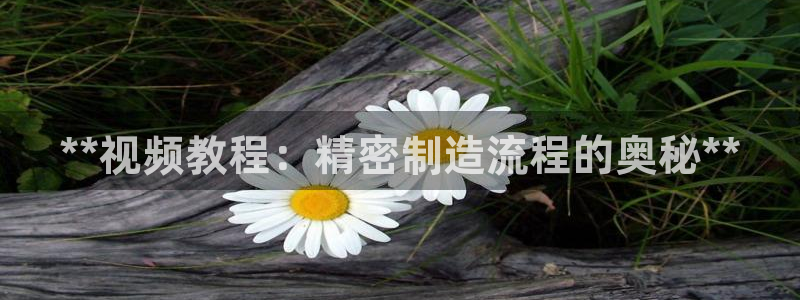 彩神数码科技有限公司：**视频教程：精密制造流程的奥秘**
