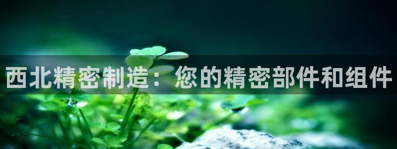 彩神Vll购彩大厅：西北精密制造：您的精密部件和组件