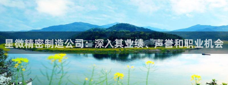 彩神争霸官方下载：星微精密制造公司：深入其业绩、声誉和职业机会