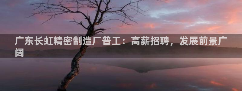 天天彩神welcome：广东长虹精密制造厂普工：高薪招聘，发展前景广
阔