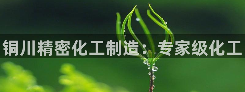 下载彩神乐发V1：铜川精密化工制造：专家级化工