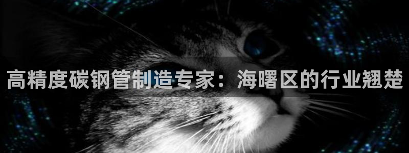彩神8app官方下载：高精度碳钢管制造专家：海曙区的行业翘楚
