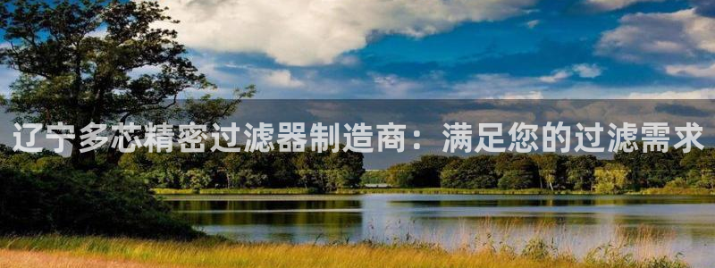 彩神赢钱了吗知乎：辽宁多芯精密过滤器制造商：满足您的过滤需求