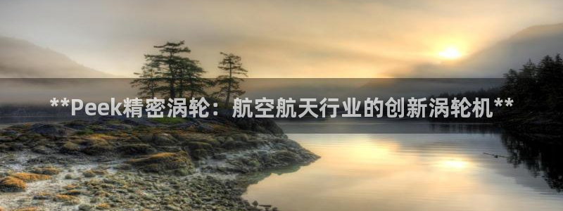 彩神怎么才能赢：**Peek精密涡轮：航空航天行业的创新涡轮机**