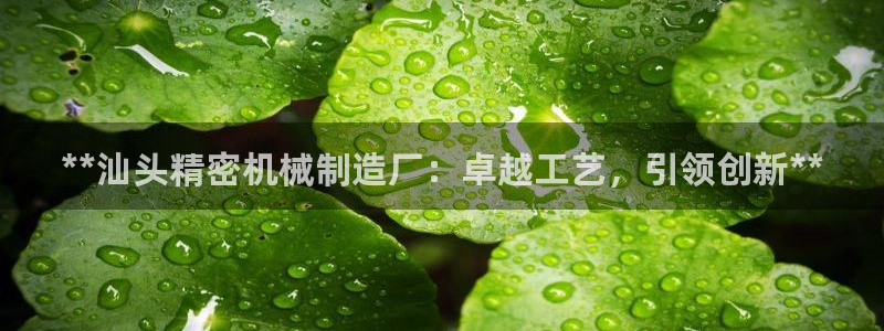 彩神骗局：**汕头精密机械制造厂：卓越工艺，引领创新**