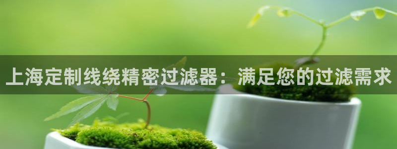 彩神vll趣投彩：上海定制线绕精密过滤器：满足您的过滤需求