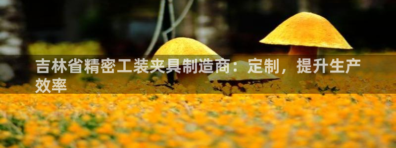 彩神v8手机客户端在哪：吉林省精密工装夹具制造商：定制，提升生产
效率