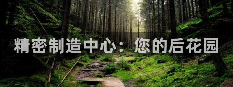 彩神到底能不能赚钱：精密制造中心：您的后花园