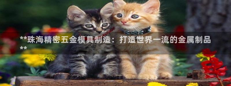 彩神v8是真的挣钱吗知乎：**珠海精密五金模具制造：打造世界一流的金属制品
**