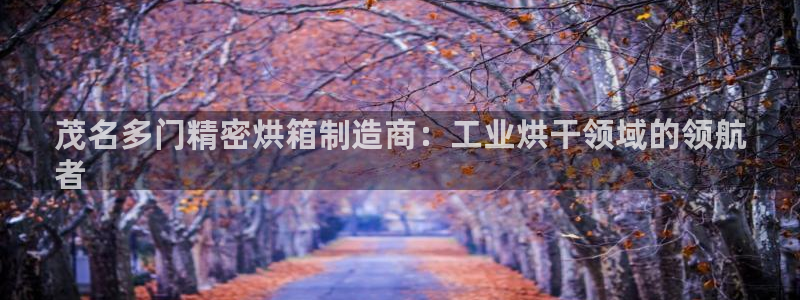 彩神争霸官方下载2017：茂名多门精密烘箱制造商：工业烘干领域的领航
者