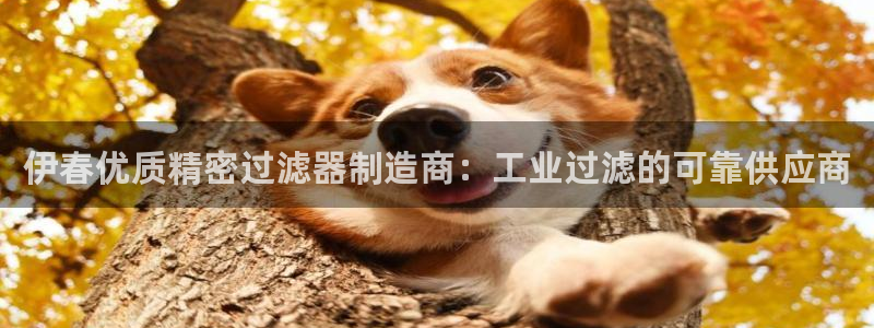 大发彩神最高邀请码：伊春优质精密过滤器制造商：工业过滤的可靠供应商
