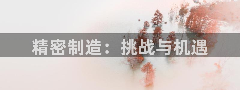 彩神网可以赚钱是真的吗：精密制造：挑战与机遇