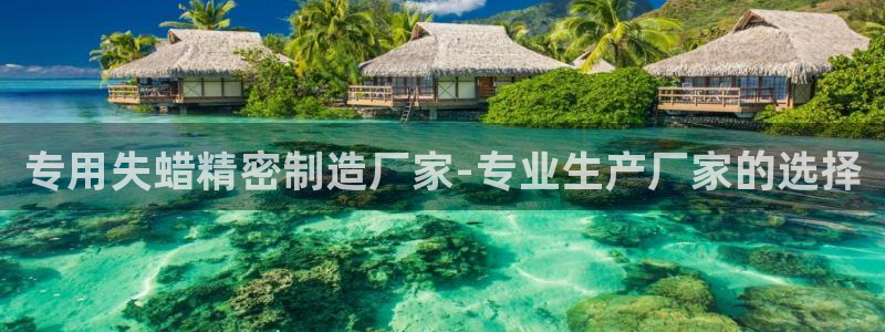 下载彩神通关注金码：专用失蜡精密制造厂家-专业生产厂家的选择