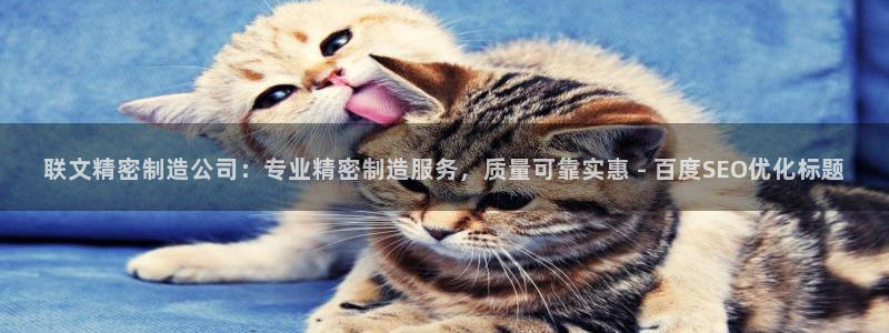 彩神ix可靠吗：联文精密制造公司：专业精密制造服务，质量可靠实惠 - 百度SEO优化标题