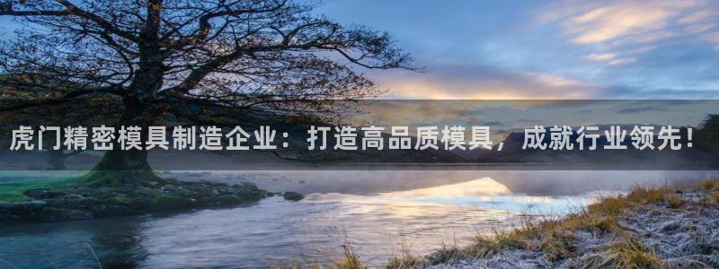 彩神是怎样一个平台赚钱的：虎门精密模具制造企业：打造高品质模具，成就行业领先！