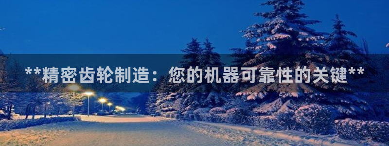彩神v1破解器：**精密齿轮制造：您的机器可靠性的关键**
