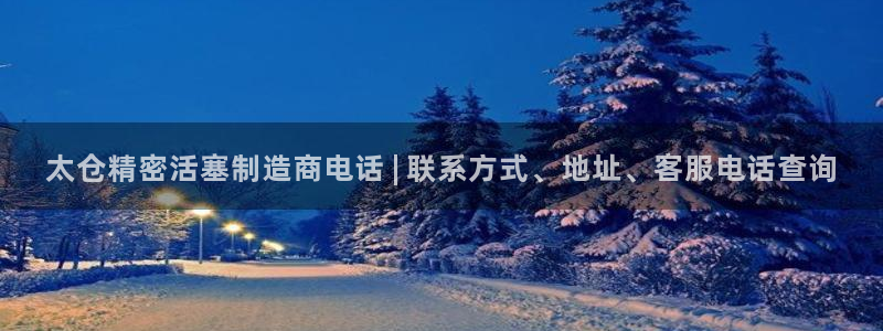 彩神平台是什么套路：太仓精密活塞制造商电话 | 联系方式、地址、客服电话查询