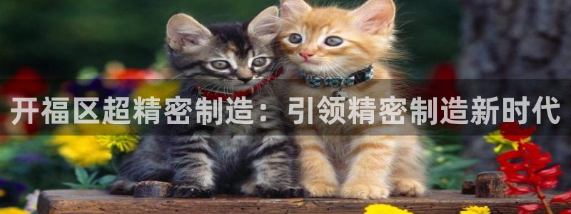 彩神vl官网：开福区超精密制造：引领精密制造新时代