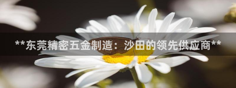 彩神ll能赚钱吗：**东莞精密五金制造：沙田的领先供应商**