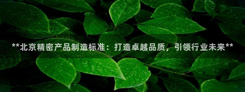 彩神app赚钱是真是假：**北京精密产品制造标准：打造卓越品质，引领行业未来**