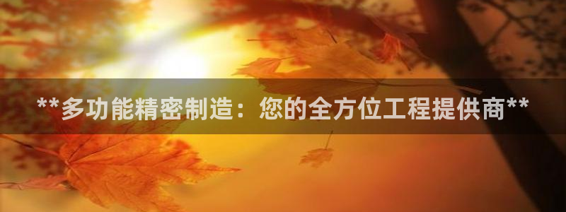 彩神8彩平台：**多功能精密制造：您的全方位工程提供商**