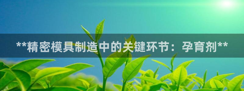彩神官方登录：**精密模具制造中的关键环节：孕育剂**