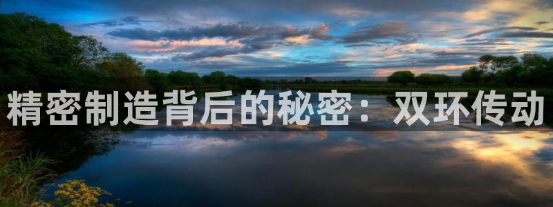 彩神到底能不能赚钱：精密制造背后的秘密：双环传动