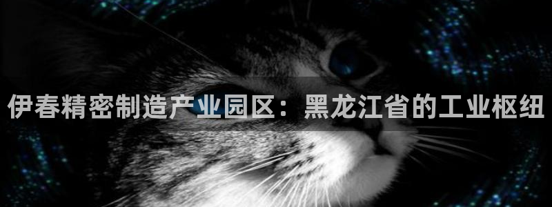 彩神vii手游下载：伊春精密制造产业园区：黑龙江省的工业枢纽