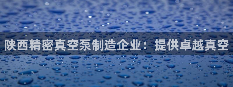 彩神8彩平台：陕西精密真空泵制造企业：提供卓越真空