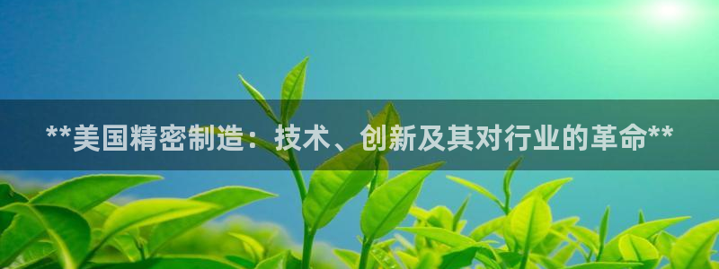 彩神官方登录：**美国精密制造：技术、创新及其对行业的革命**