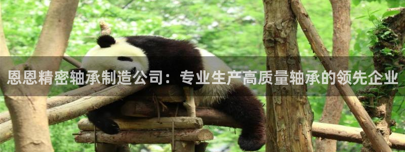 彩神vll购彩大厅大众：恩恩精密轴承制造公司：专业生产高质量轴承的领先企业