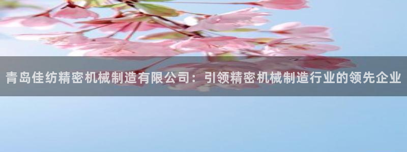 彩神v8是一个什么平台游戏：青岛佳纺精密机械制造有限公司：引领精密机械制造行业的领先企业