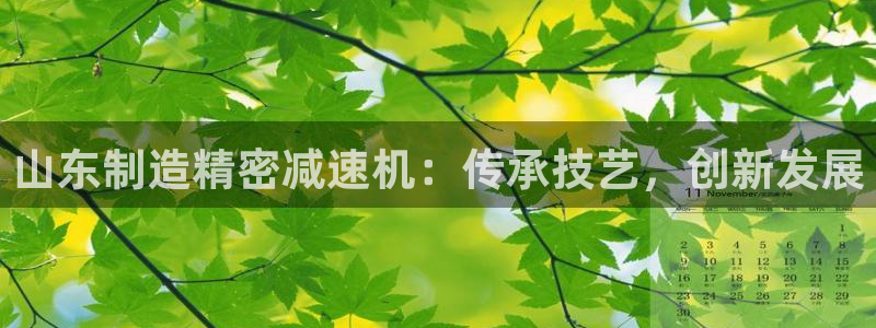 彩神大发如何观察走势：山东制造精密减速机：传承技艺，创新发展