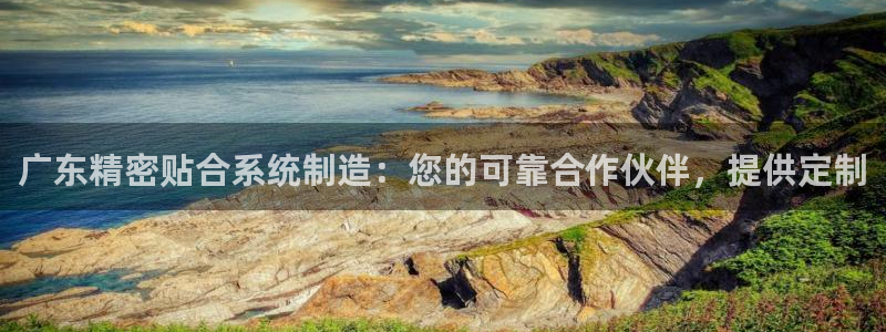 彩神v8手机客户端怎么下载：广东精密贴合系统制造：您的可靠合作伙伴，提供定制