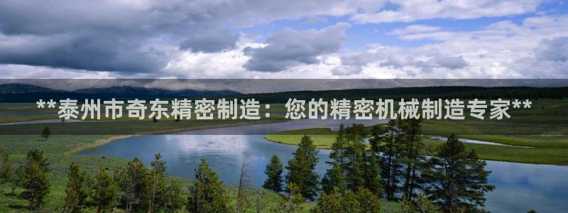 彩神赢了钱登录不上去：**泰州市奇东精密制造：您的精密机械制造专家**