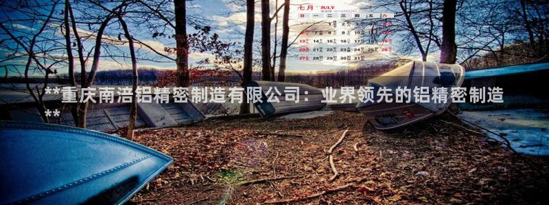 彩神争霸平台：**重庆南涪铝精密制造有限公司：业界领先的铝精密制造
**