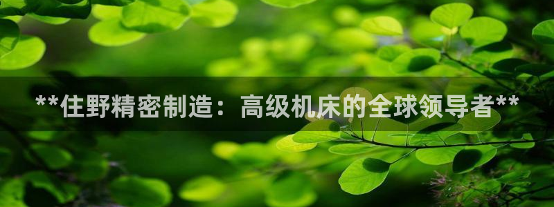 彩神vll首页：**住野精密制造：高级机床的全球领导者**
