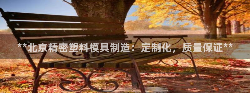 彩神v8首页：**北京精密塑料模具制造：定制化，质量保证**