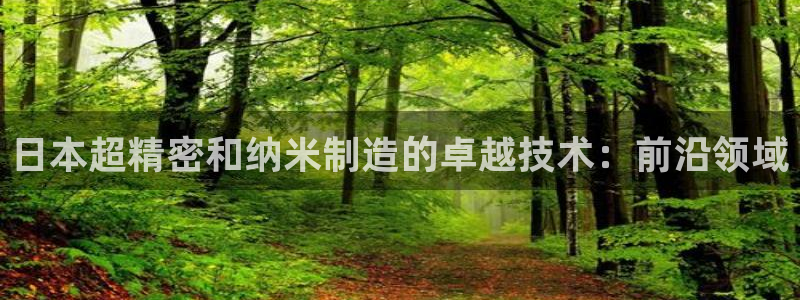 彩神广告有限公司：日本超精密和纳米制造的卓越技术：前沿领域