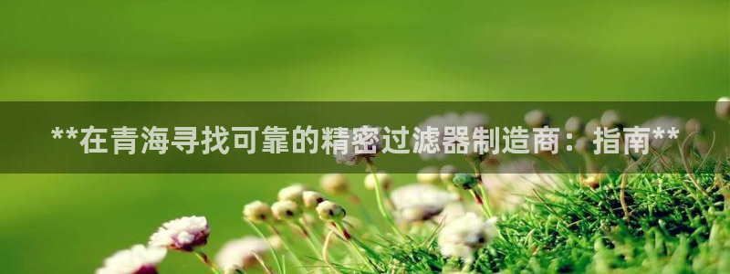 彩神8是正规平台吗：**在青海寻找可靠的精密过滤器制造商：指南**