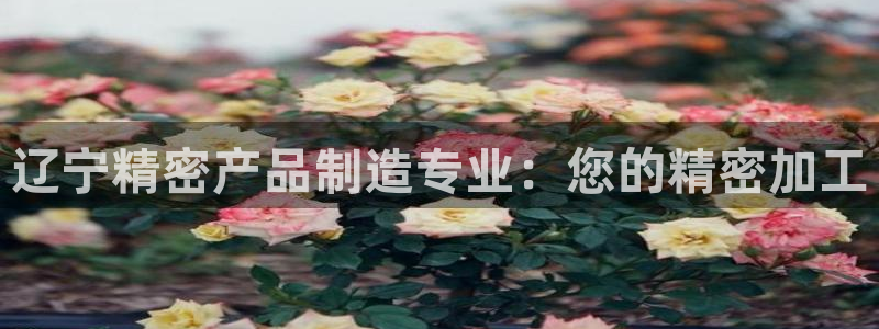 彩神8彩平台：辽宁精密产品制造专业：您的精密加工
