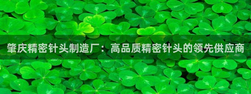 彩神趣购彩用户注册：肇庆精密针头制造厂：高品质精密针头的领先供应商