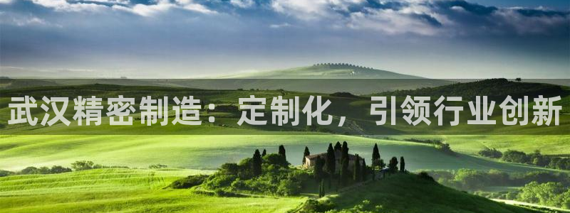 彩神是怎样一个平台赚钱的：武汉精密制造：定制化，引领行业创新