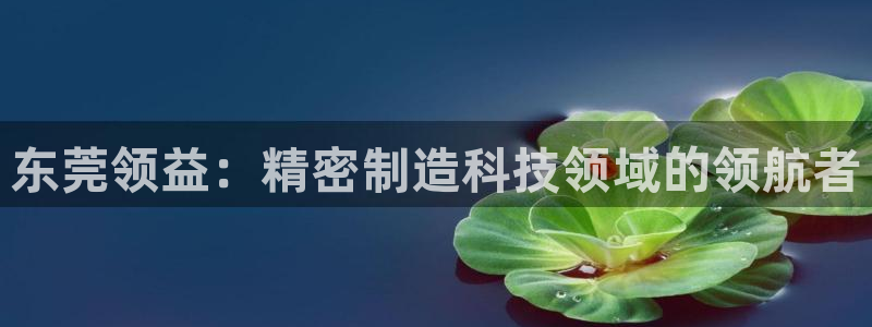 v彩神88iii：东莞领益：精密制造科技领域的领航者