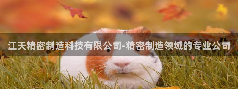 彩神平台之间是什么关系：江天精密制造科技有限公司-精密制造领域的专业公司